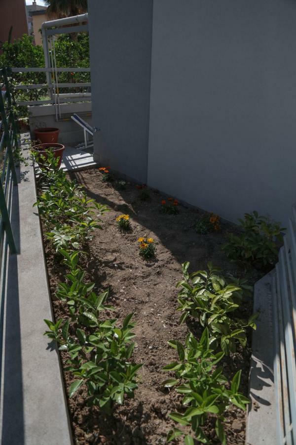 Apartament Casa Rinuccia Cefalù Zewnętrze zdjęcie